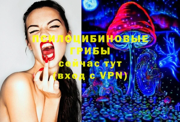 кокс Абаза