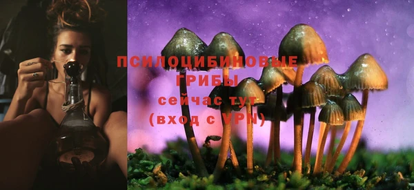 ALPHA-PVP Абинск