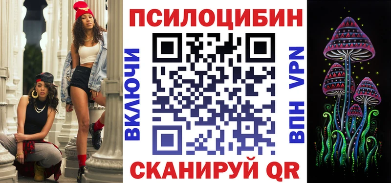 Псилоцибиновые грибы мицелий купить Княгинино